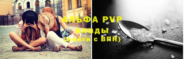 стаф Магадан